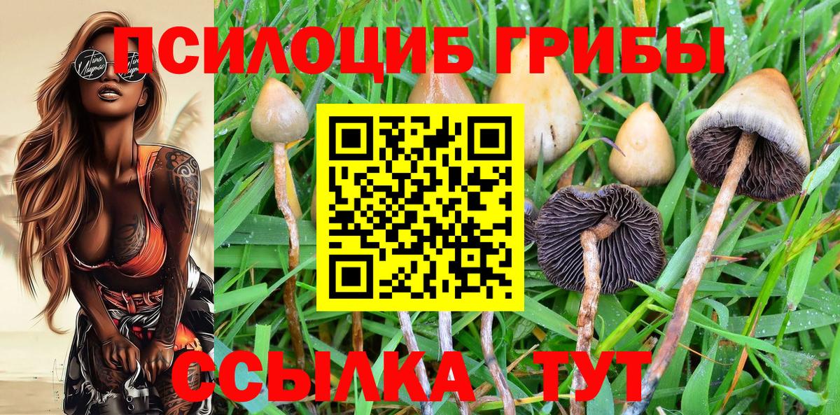 Галлюциногенные грибы Psilocybe  Галлюциногенные грибы мухоморы  Тобольск  Вход с VPN 