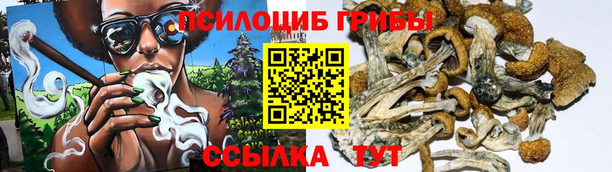 Галлюциногенные грибы мухоморы Тобольск